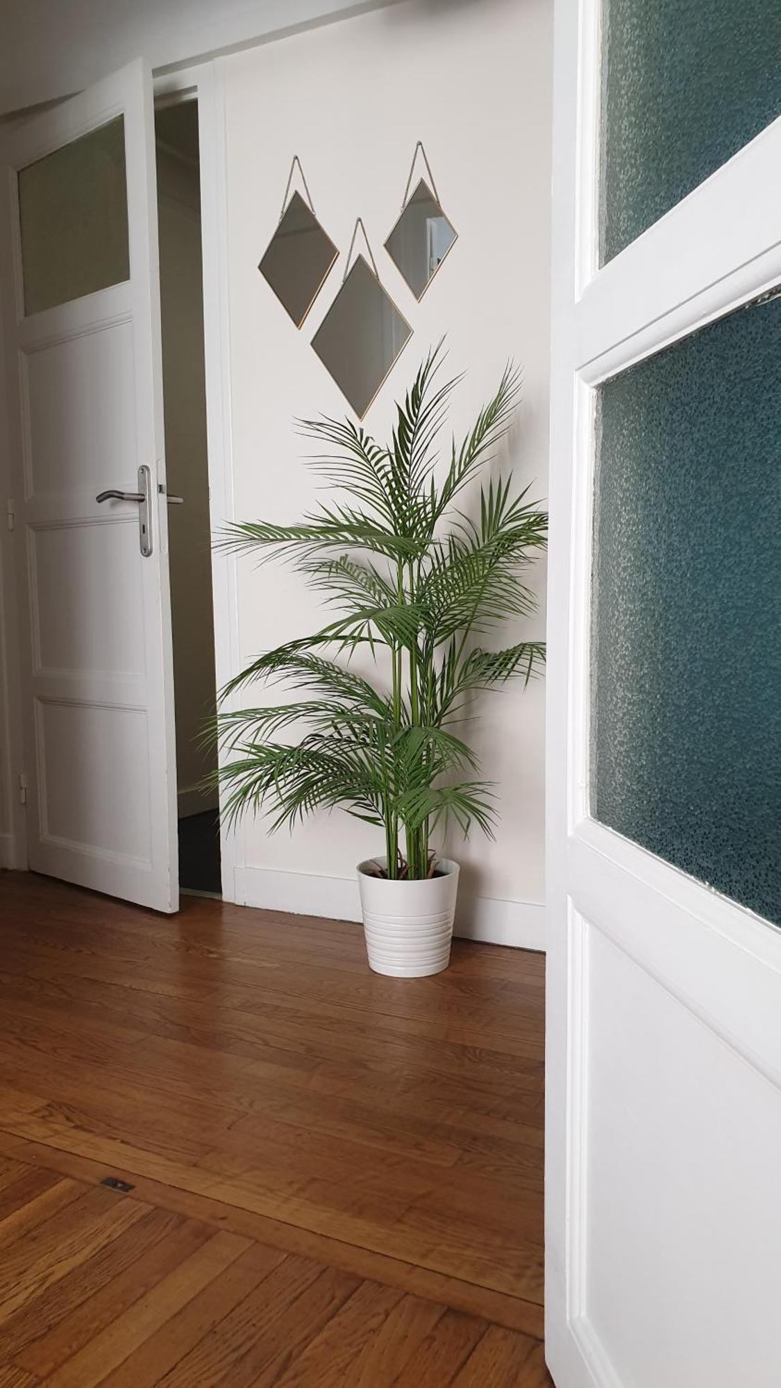 Le Rollin Cosy Lovely - Confort- Relax - Centre - Parking Free- 6 Voyageurs Appartement *